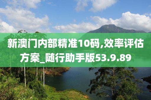 新澳門內(nèi)部精準(zhǔn)10碼,效率評估方案_隨行助手版53.9.89