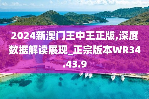 2024新澳門王中王正版,深度數(shù)據(jù)解讀展現(xiàn)_正宗版本W(wǎng)R34.43.9