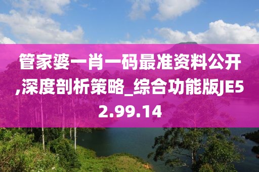 管家婆一肖一碼最準(zhǔn)資料公開,深度剖析策略_綜合功能版JE52.99.14