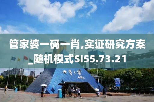 管家婆一碼一肖,實證研究方案_隨機模式SI55.73.21