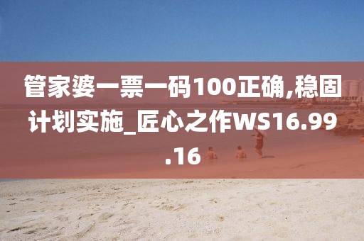 管家婆一票一碼100正確,穩(wěn)固計劃實施_匠心之作WS16.99.16