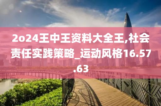 2o24王中王資料大全王,社會責任實踐策略_運動風格16.57.63