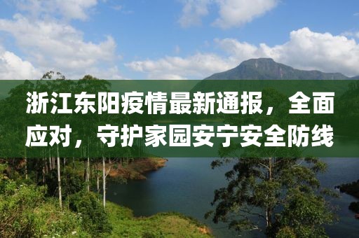 浙江東陽疫情最新通報，全面應(yīng)對，守護家園安寧安全防線