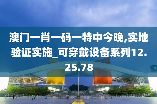 澳門一肖一碼一特中今晚,實(shí)地驗(yàn)證實(shí)施_可穿戴設(shè)備系列12.25.78