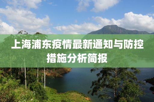 上海浦東疫情最新通知與防控措施分析簡報(bào)