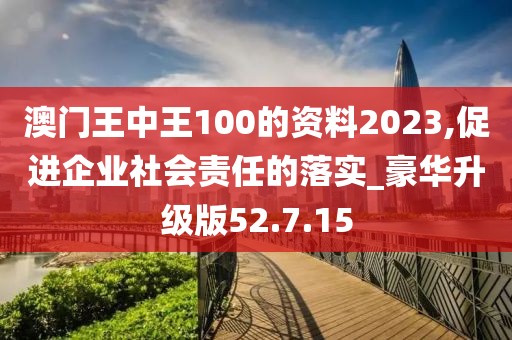 澳門王中王100的資料2023,促進企業(yè)社會責(zé)任的落實_豪華升級版52.7.15