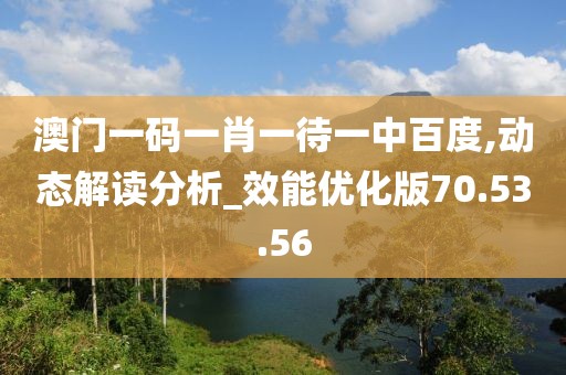 澳門一碼一肖一待一中百度,動態(tài)解讀分析_效能優(yōu)化版70.53.56