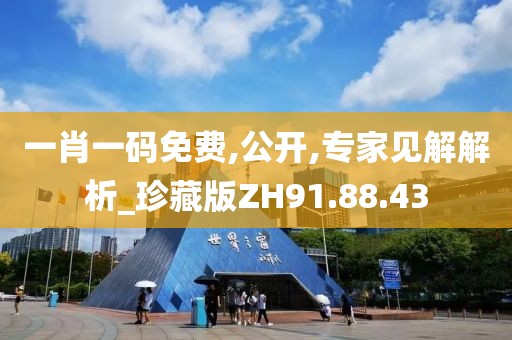 一肖一碼免費(fèi),公開,專家見解解析_珍藏版ZH91.88.43