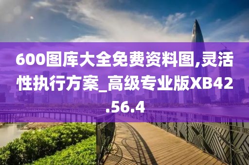 600圖庫(kù)大全免費(fèi)資料圖,靈活性執(zhí)行方案_高級(jí)專業(yè)版XB42.56.4