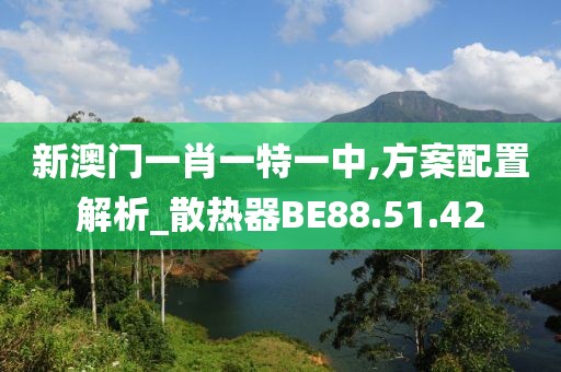 新澳門一肖一特一中,方案配置解析_散熱器BE88.51.42