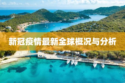 新冠疫情最新全球概況與分析