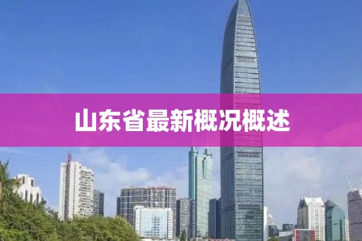 山東省最新概況概述