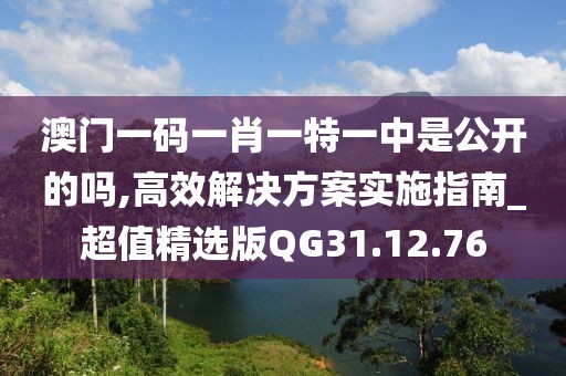 澳門一碼一肖一特一中是公開的嗎,高效解決方案實施指南_超值精選版QG31.12.76