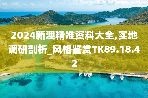 2024新澳精準(zhǔn)資料大全,實(shí)地調(diào)研剖析_風(fēng)格鑒賞TK89.18.42