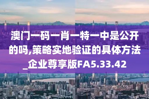 澳門一碼一肖一特一中是公開的嗎,策略實地驗證的具體方法_企業(yè)尊享版FA5.33.42