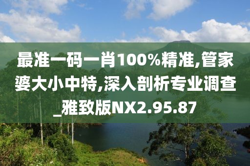 最準一碼一肖100%精準,管家婆大小中特,深入剖析專業(yè)調(diào)查_雅致版NX2.95.87