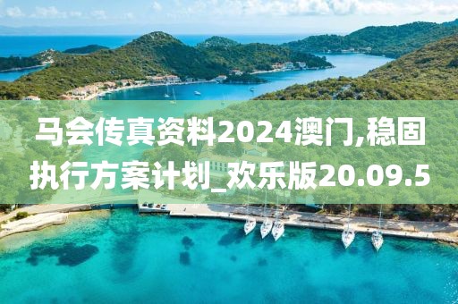 馬會傳真資料2024澳門,穩(wěn)固執(zhí)行方案計劃_歡樂版20.09.50