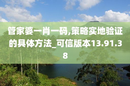 管家婆一肖一碼,策略實地驗證的具體方法_可信版本13.91.38