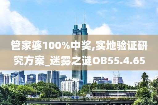 管家婆100%中獎,實地驗證研究方案_迷霧之謎OB55.4.65