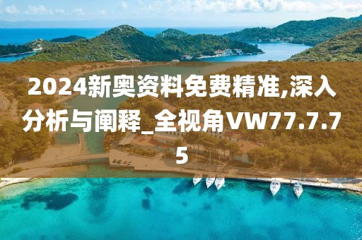 2024新奧資料免費精準,深入分析與闡釋_全視角VW77.7.75