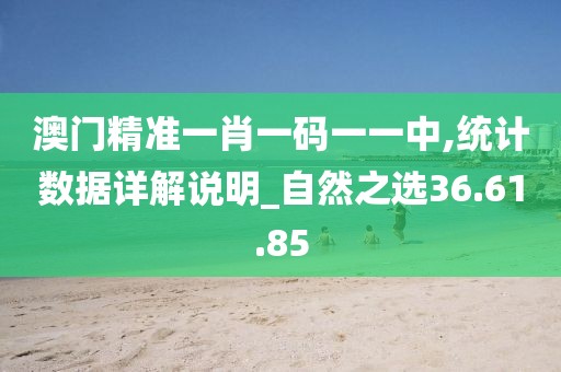 澳門精準一肖一碼一一中,統(tǒng)計數(shù)據(jù)詳解說明_自然之選36.61.85