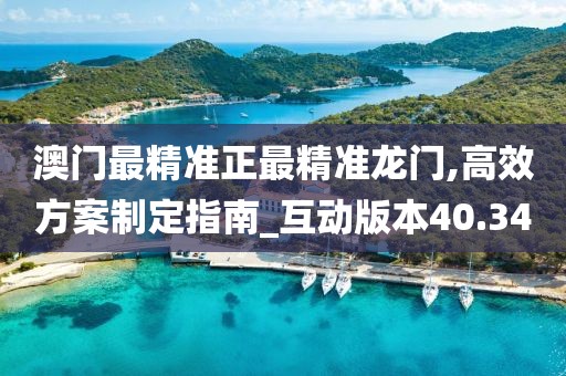 澳門最精準正最精準龍門,高效方案制定指南_互動版本40.34