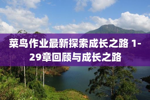 菜鳥作業(yè)最新探索成長之路 1-29章回顧與成長之路