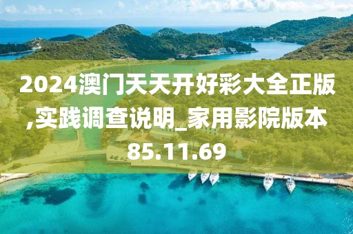 2024澳門天天開好彩大全正版,實(shí)踐調(diào)查說明_家用影院版本85.11.69