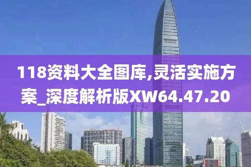 118資料大全圖庫,靈活實施方案_深度解析版XW64.47.20