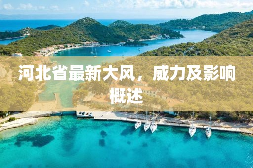 河北省最新大風(fēng)，威力及影響概述