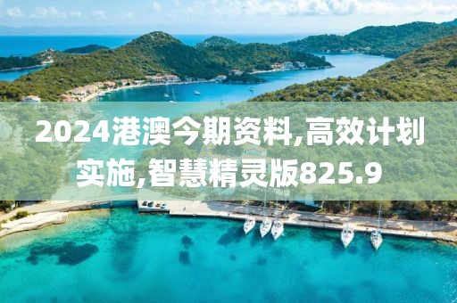 2024港澳今期資料,高效計(jì)劃實(shí)施,智慧精靈版825.9