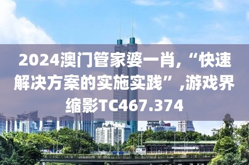 2024澳門管家婆一肖,“快速解決方案的實施實踐”,游戲界縮影TC467.374