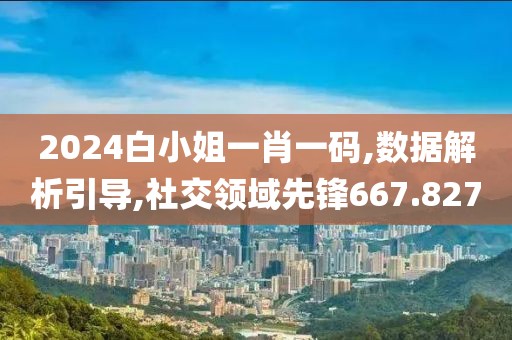 2024白小姐一肖一碼,數(shù)據(jù)解析引導,社交領(lǐng)域先鋒667.827