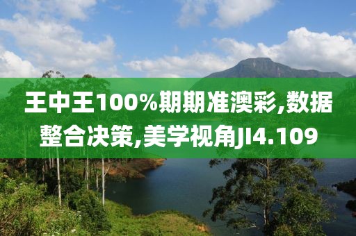 王中王100%期期準(zhǔn)澳彩,數(shù)據(jù)整合決策,美學(xué)視角JI4.109