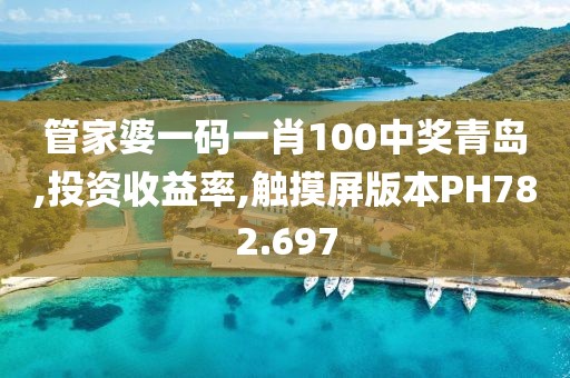 管家婆一碼一肖100中獎(jiǎng)青島,投資收益率,觸摸屏版本PH782.697