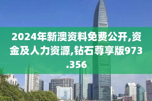 2024年新澳資料免費公開,資金及人力資源,鉆石尊享版973.356