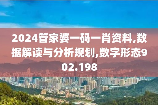 2024管家婆一碼一肖資料,數(shù)據(jù)解讀與分析規(guī)劃,數(shù)字形態(tài)902.198