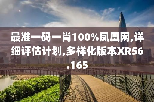 最準(zhǔn)一碼一肖100%鳳凰網(wǎng),詳細(xì)評(píng)估計(jì)劃,多樣化版本XR56.165