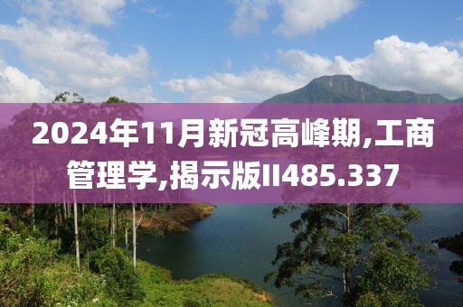 2024年11月新冠高峰期,工商管理學(xué),揭示版II485.337