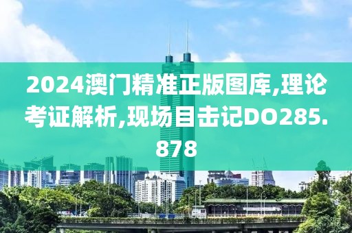 2024澳門精準正版圖庫,理論考證解析,現(xiàn)場目擊記DO285.878