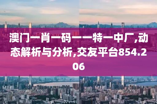 澳門一肖一碼一一特一中廠,動態(tài)解析與分析,交友平臺854.206