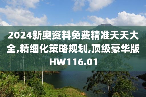 2024新奧資料免費(fèi)精準(zhǔn)天天大全,精細(xì)化策略規(guī)劃,頂級(jí)豪華版HW116.01