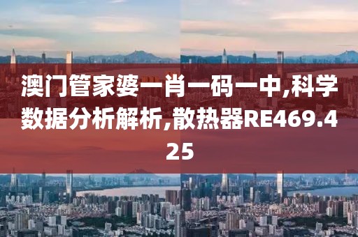 澳門管家婆一肖一碼一中,科學(xué)數(shù)據(jù)分析解析,散熱器RE469.425