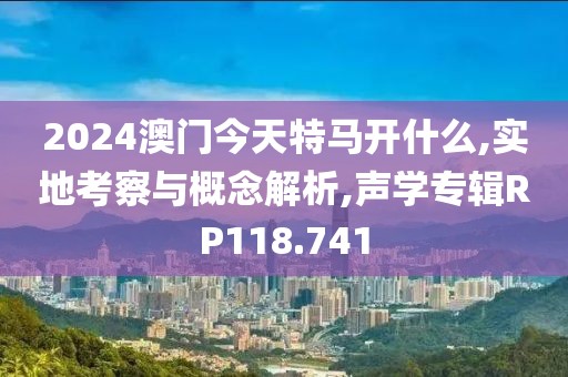 2024澳門今天特馬開(kāi)什么,實(shí)地考察與概念解析,聲學(xué)專輯RP118.741