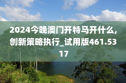 2024今晚澳門(mén)開(kāi)特馬開(kāi)什么,創(chuàng)新策略執(zhí)行_試用版461.5317