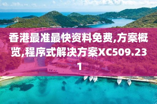 香港最準最快資料免費,方案概覽,程序式解決方案XC509.231