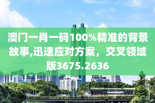 澳門(mén)一肖一碼100%精準(zhǔn)的背景故事,迅速應(yīng)對(duì)方案，交叉領(lǐng)域版3675.2636