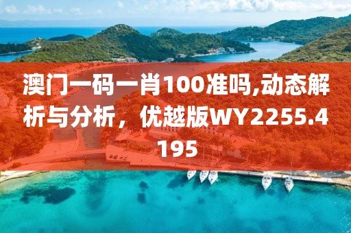 澳門一碼一肖100準嗎,動態(tài)解析與分析，優(yōu)越版WY2255.4195