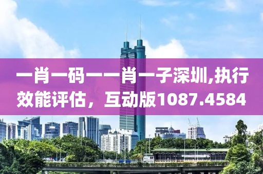 一肖一碼一一肖一子深圳,執(zhí)行效能評(píng)估，互動(dòng)版1087.4584