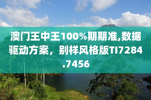 澳門王中王100%期期準(zhǔn),數(shù)據(jù)驅(qū)動方案，別樣風(fēng)格版TI7284.7456